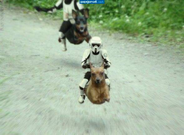 Экономический кризис подкосил бюджет новой серии StarWars