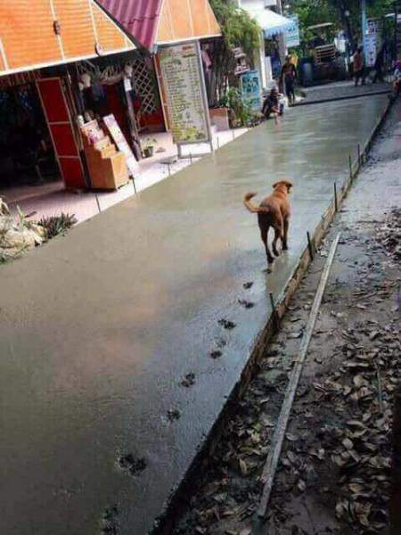 Аллея Славы