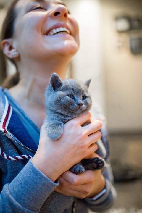 В следующей жизни хочу быть котом