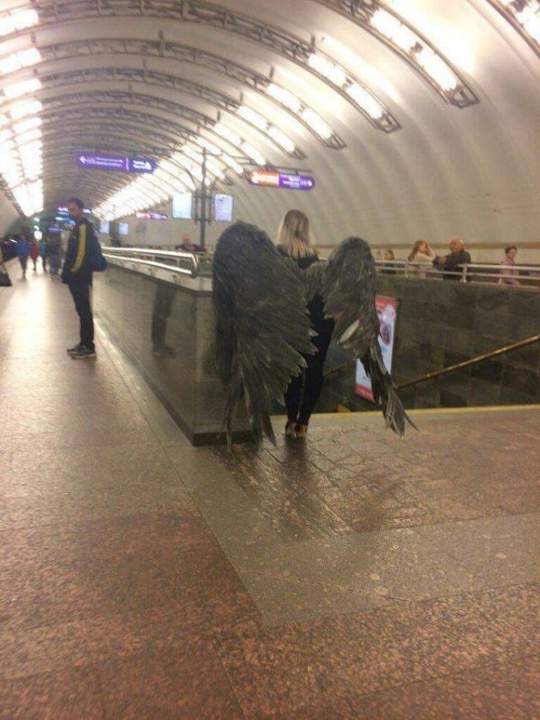 Погода нелетная