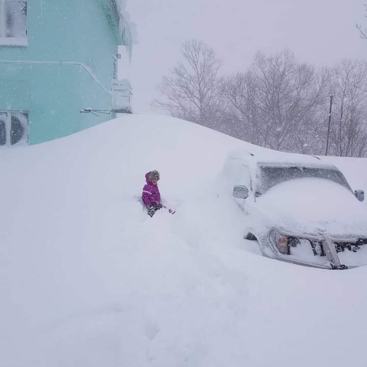 Найди свой автомобиль!