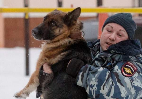 Она взяла след...Не буду путаться под ногами.