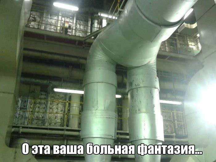 Дуся - Агрегат!