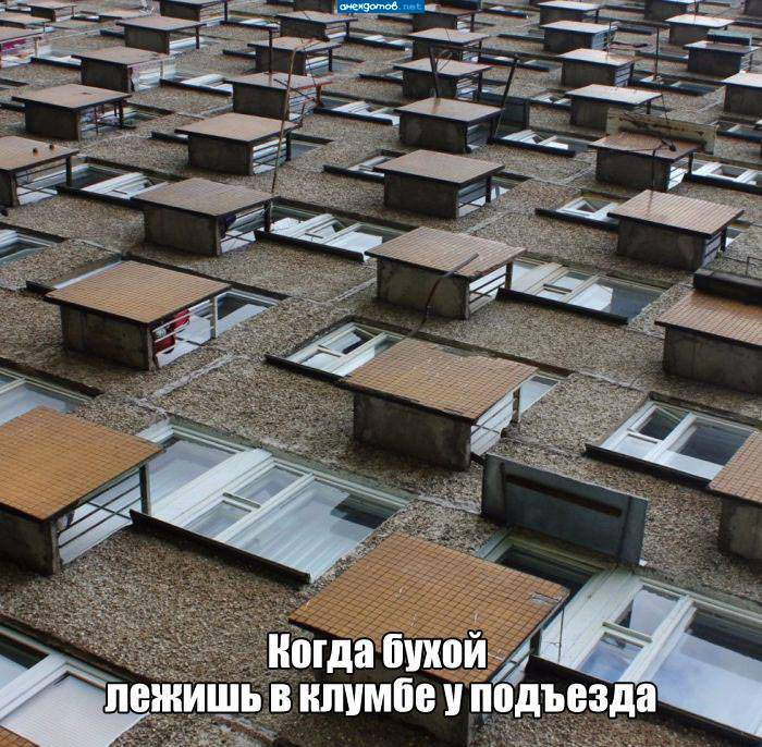 Анекдоты про неожиданный ракурс