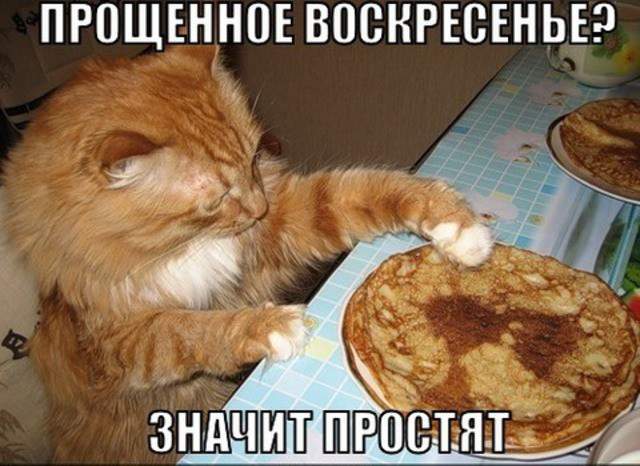 Все коту масленица
