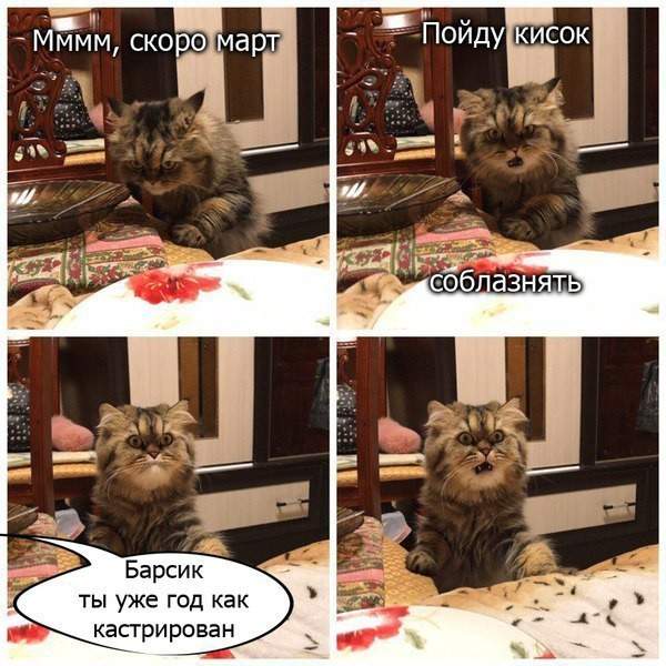 Вот какие же Вы. люди, сволочи....