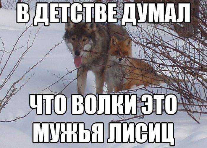 Особенно хорошо на фото получились буквы.