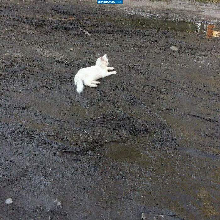 И тут выхожу я весь в белом....
