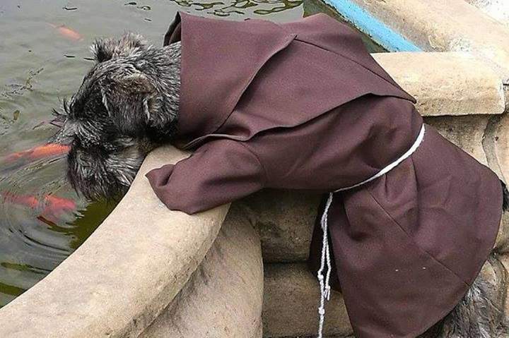 Абыр... абыр... абырвалг