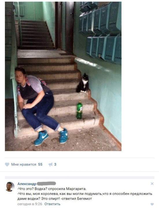 Дядя Федор неудачно женился - подумал Матроскин
