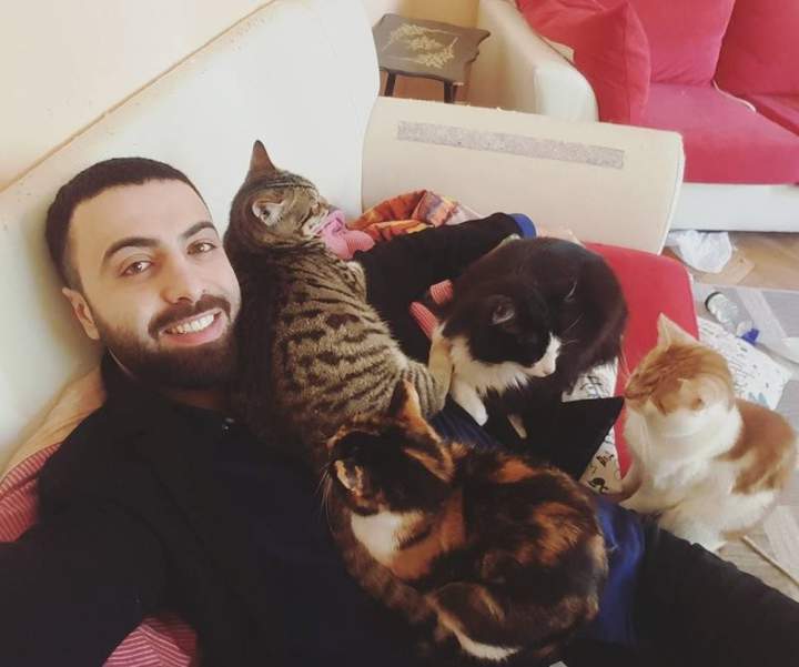 Кошек много не бывает