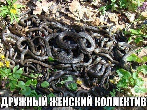 Против кого сегодня дружим?