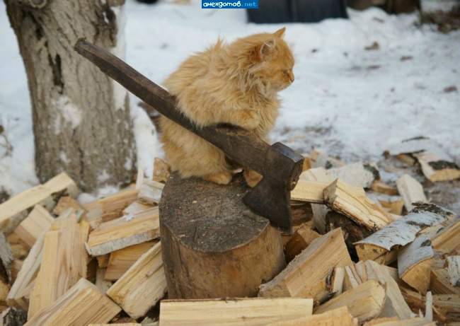 Челентано.