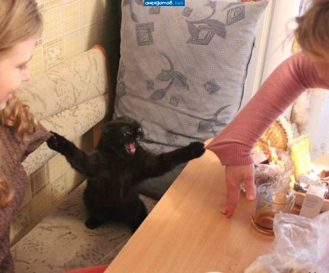 А ну, быстро помирились!