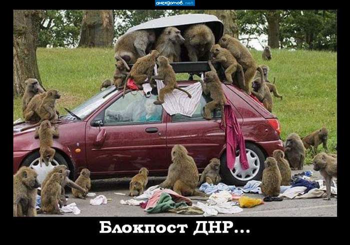 Блин..,ни сигарет,ни пива...