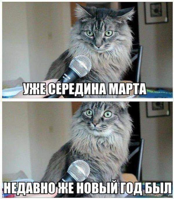 А какие глаза должны быть у кота,если ты с ним разговариваешь и тычешь в нос какую-то х...ю