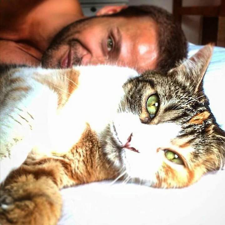 Мои счастливые КОТИКИ