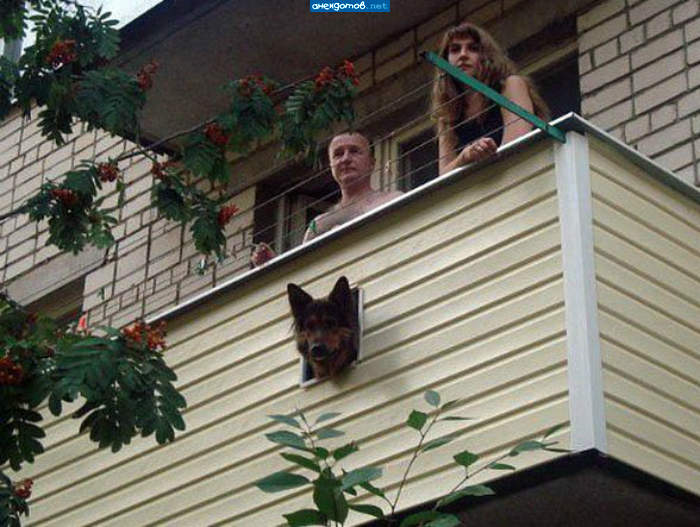 дневной дозор