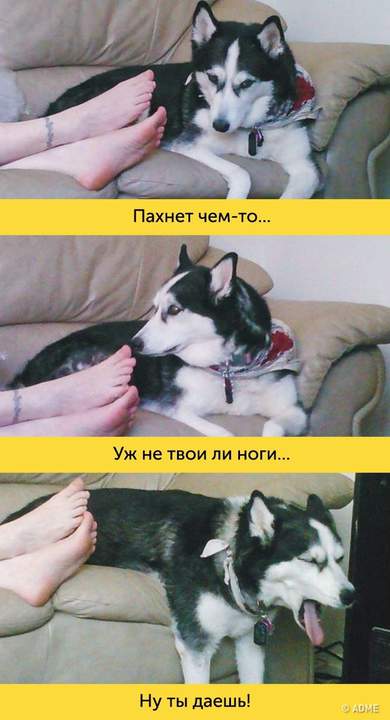 Отравляющие вещества -это когда один раз вдохнешь, и больше не надо.