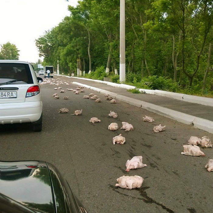 До КFC не все нагетсы добежали.