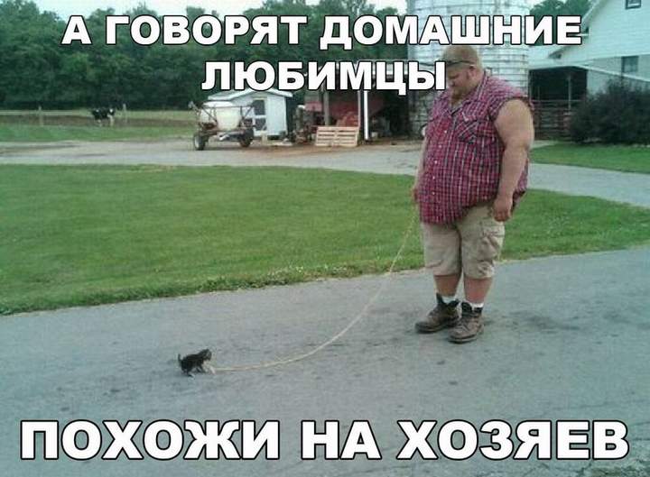 Раскормит....