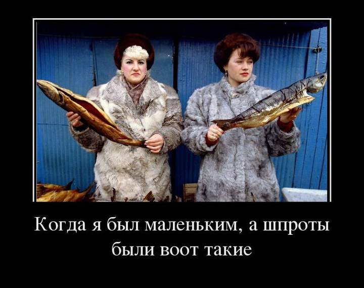 Приобретайте шубы на рыбьем меху!