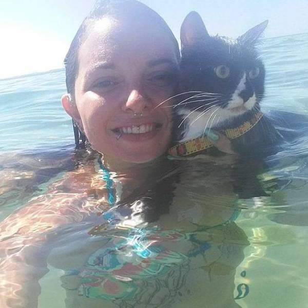 Морской котик