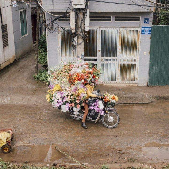 Нарвал цветов и отвезу букет,той девушке которую люблю...