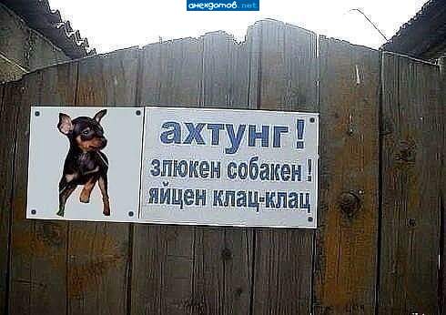Перевод - Не обращайте внимания! Добрая собака! Лижет яйца.