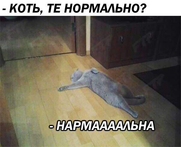 Просто наелся и сплю