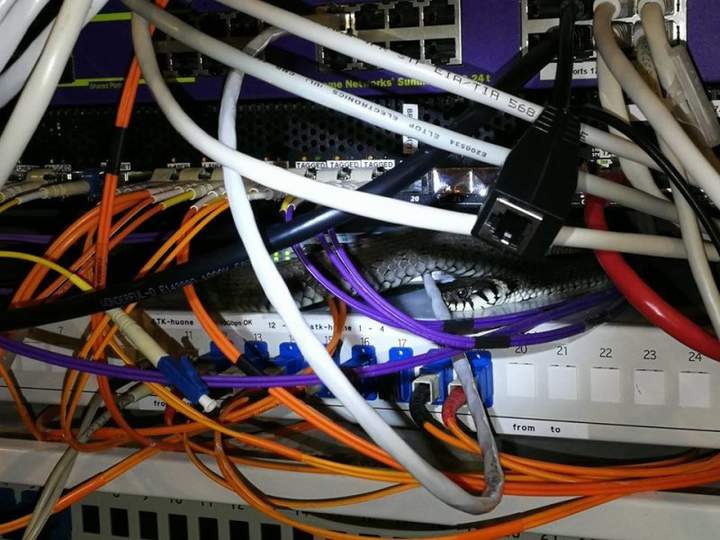 Это наверное тонкий IT-шный юмор((