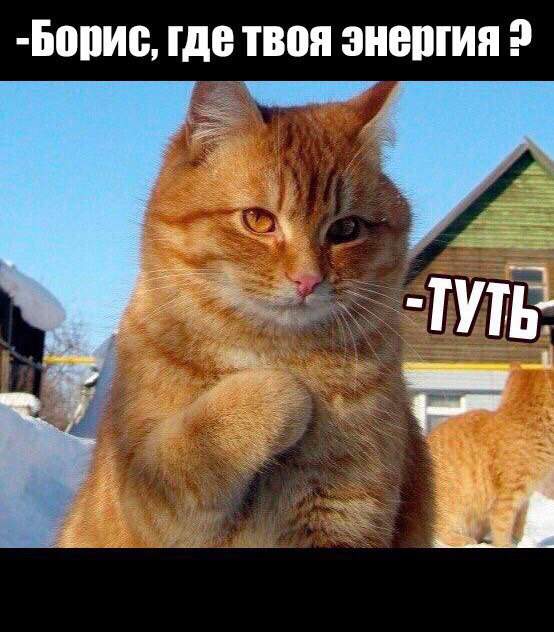 Лично я -Рыжик и никакую энергию Бориса не встречал....