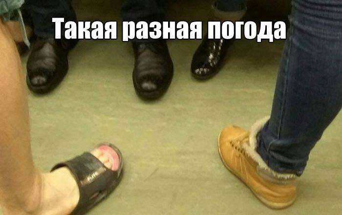 Такие разные доходы