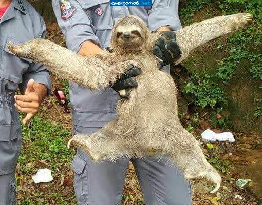 Свободу Юрию Деточкину