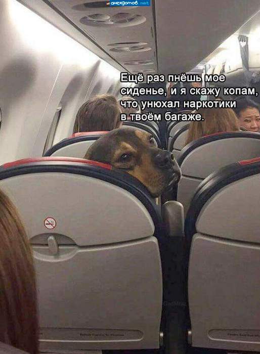 Профессор,я водочки закажу?...