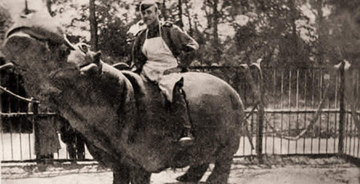 Повар 2 роты Сидоров на экскурсии в зоопарке Берлина. 1945.