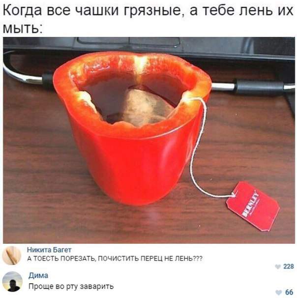 Никита точно лентяй, а вот Дима - пассивный гей-сосун!