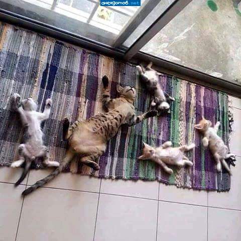 Тепло тут