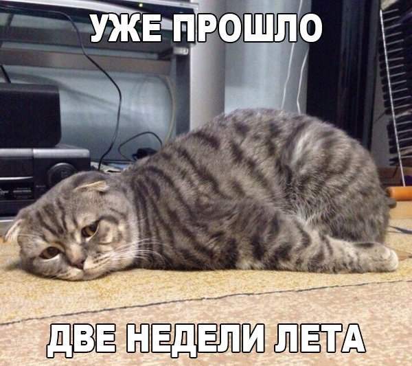 Устал весь день ничего не делать. Упал без сил.