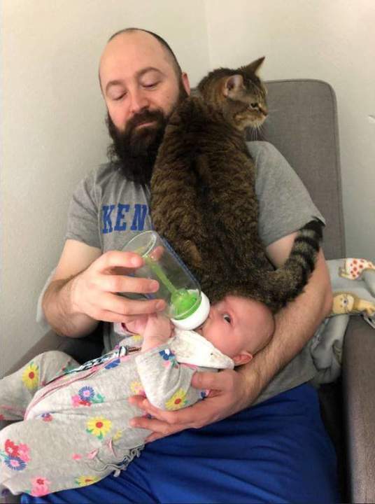 Похоже, кота он любит больше(((