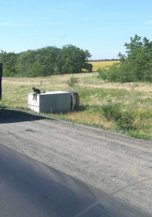 Машинка устала и прилегла отдохнуть на травке. Не будите её пожалуйста!