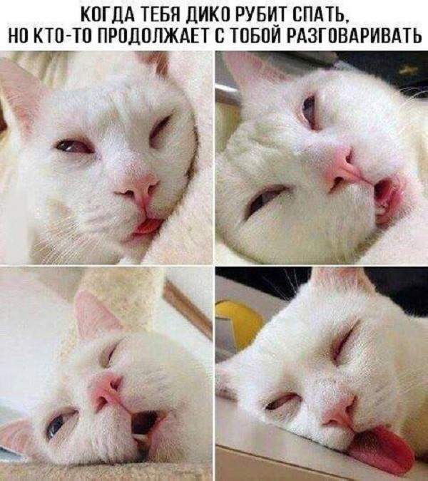 Когда Мысли не дают заснуть...