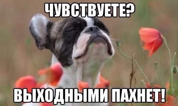 Предвкушает кайф, когда Маки созреют !