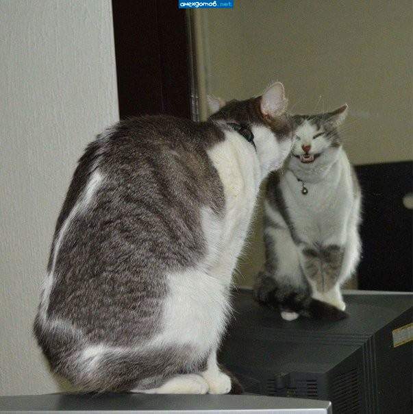 Чииииииз...