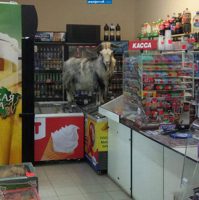 Я не Я, когда голоден