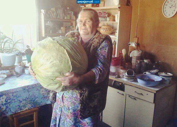 От такой капусты не только грудь, но и грыжа вырастет!