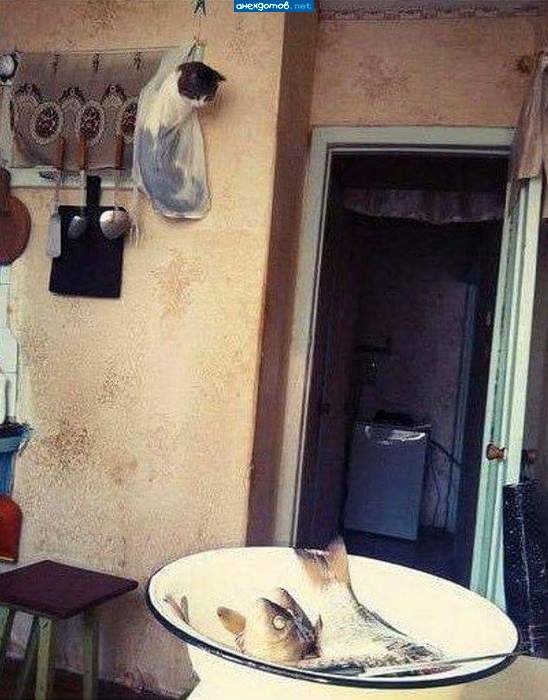 Нейтрализован!