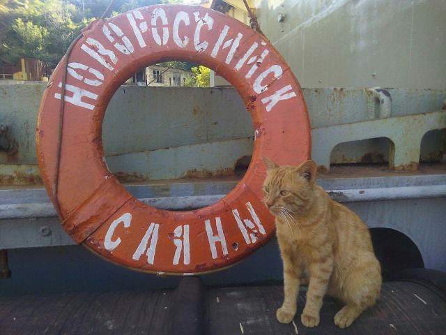 Где Новороссийск, где Саяны, где я.....