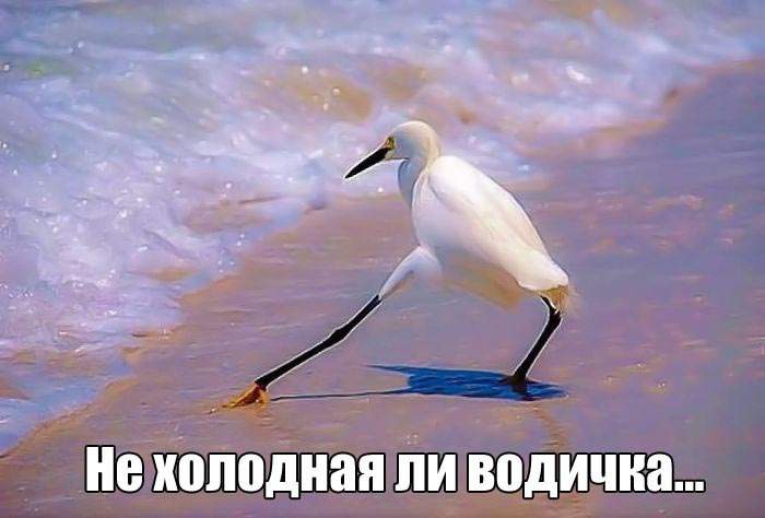 Па-дэ-дэ на пляже.