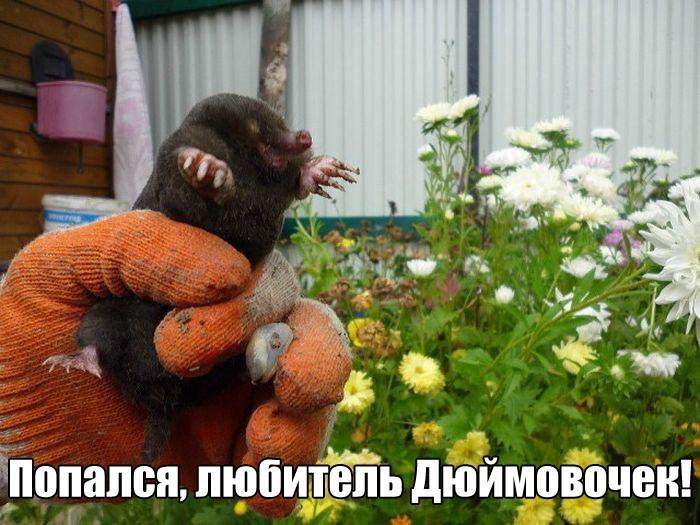 А ну отпусти похорошему пока я глаза не открыл!!!